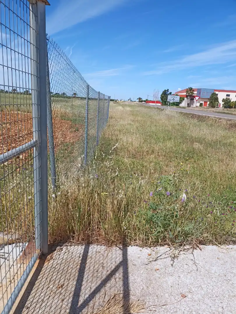 Terreny rústic en venda a Fuente Palmera, imagen 3