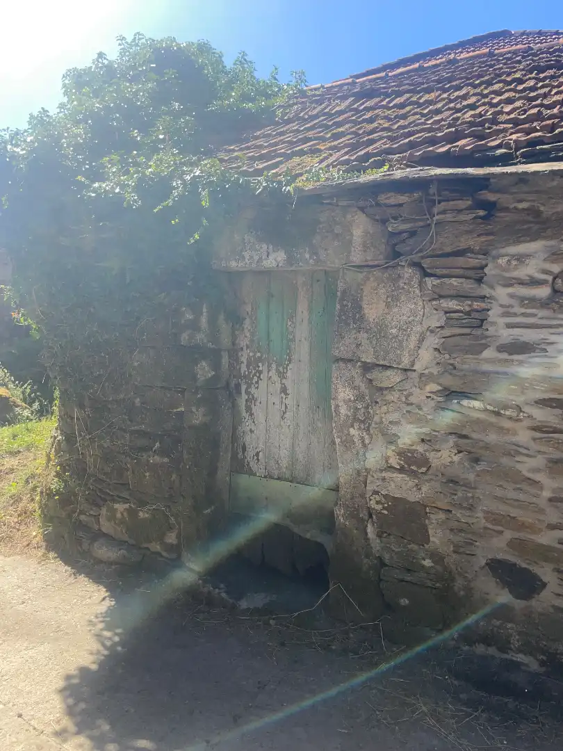 Houses for sale in O Irixo