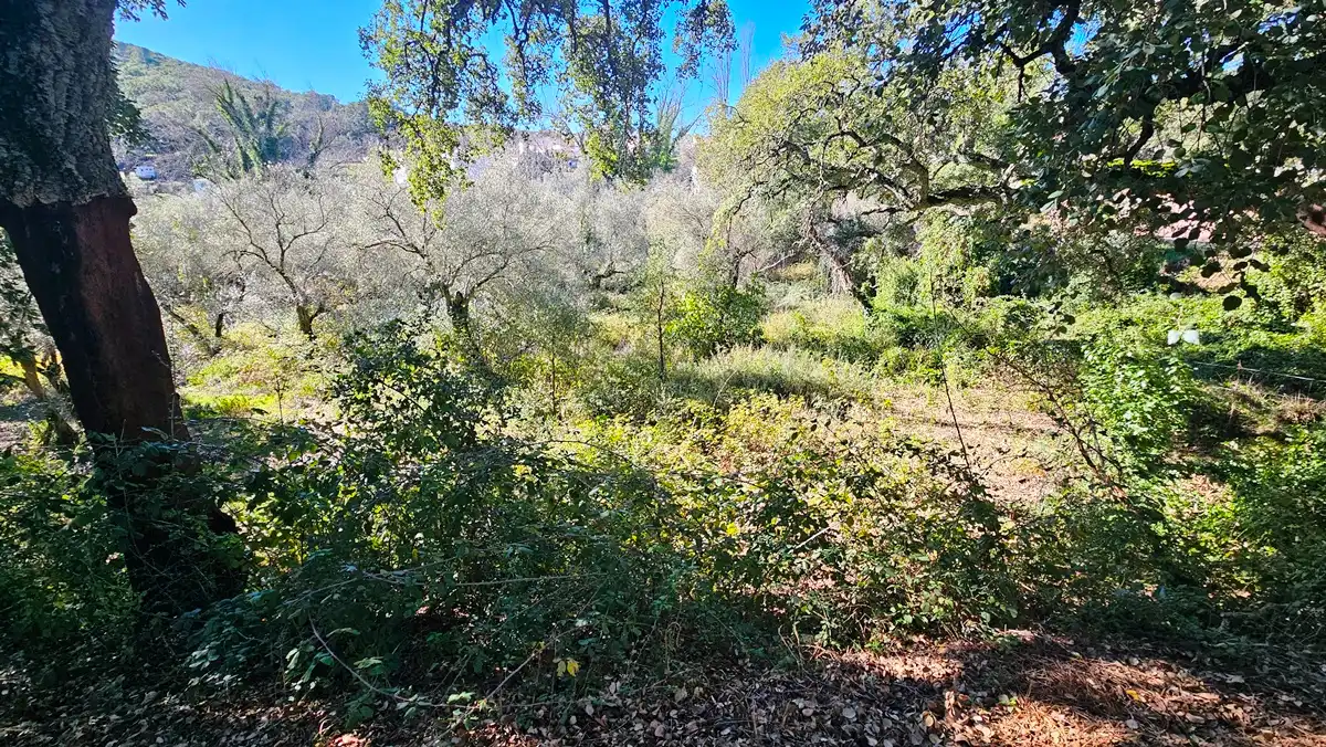 Residencial en venta en Santa Ana la Real