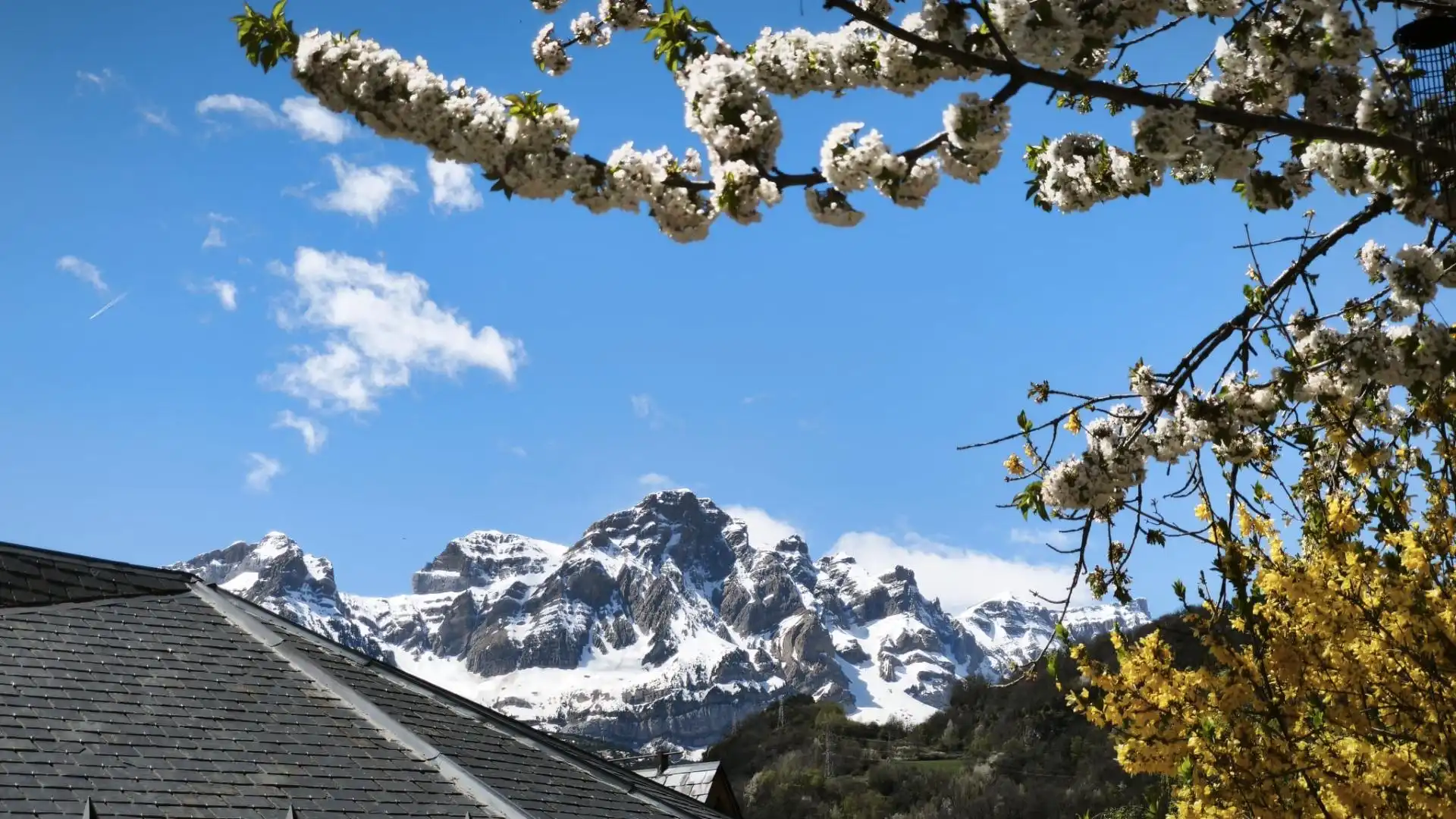 Jardín de Casa o chalet en venta en Panticosa con Calefacción, Amueblado y Balcón