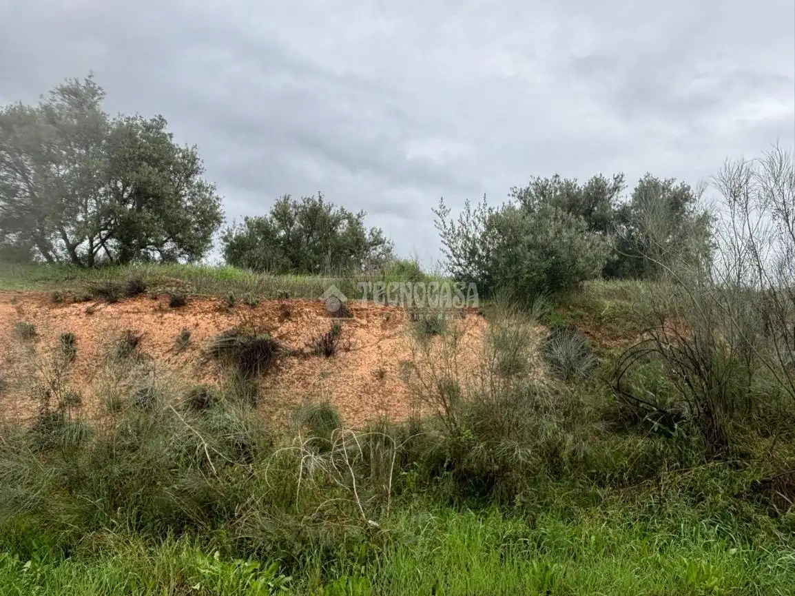 Terreni e lotti in vendita a Atarfe, imagen 3