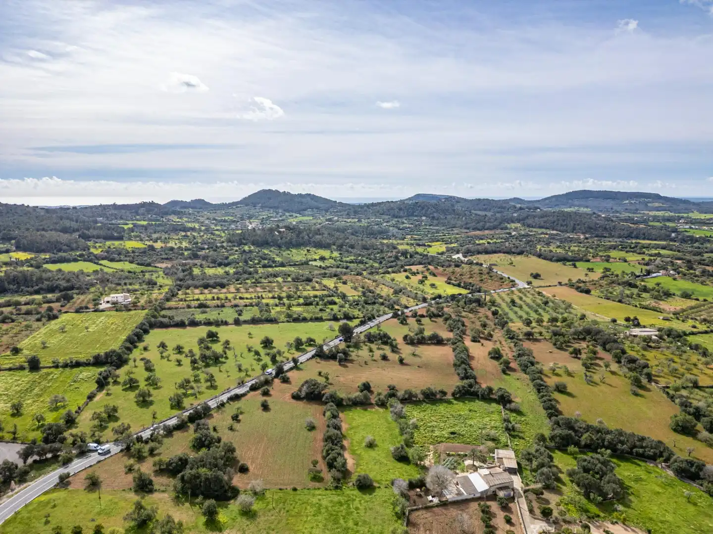 Rural land for sale in Felanitx Poble, imagen 13