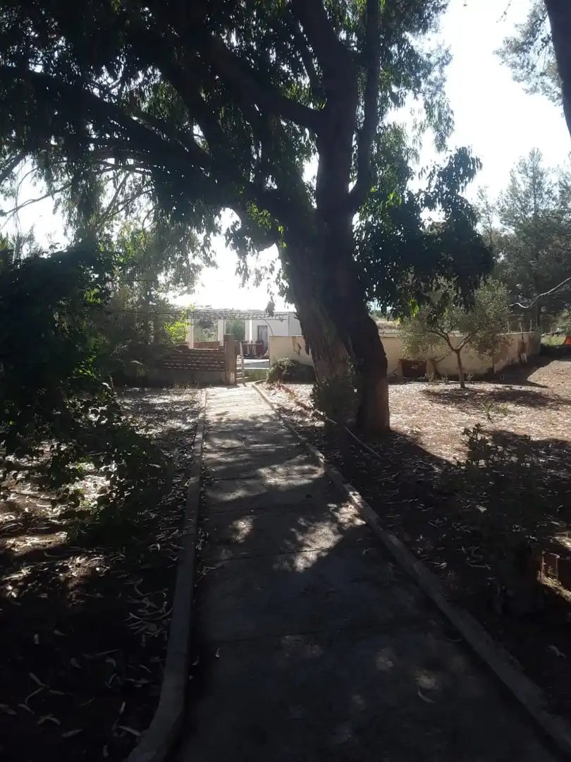 Finca rústica en venta en Agost con Jardín privado, Terraza y Trastero