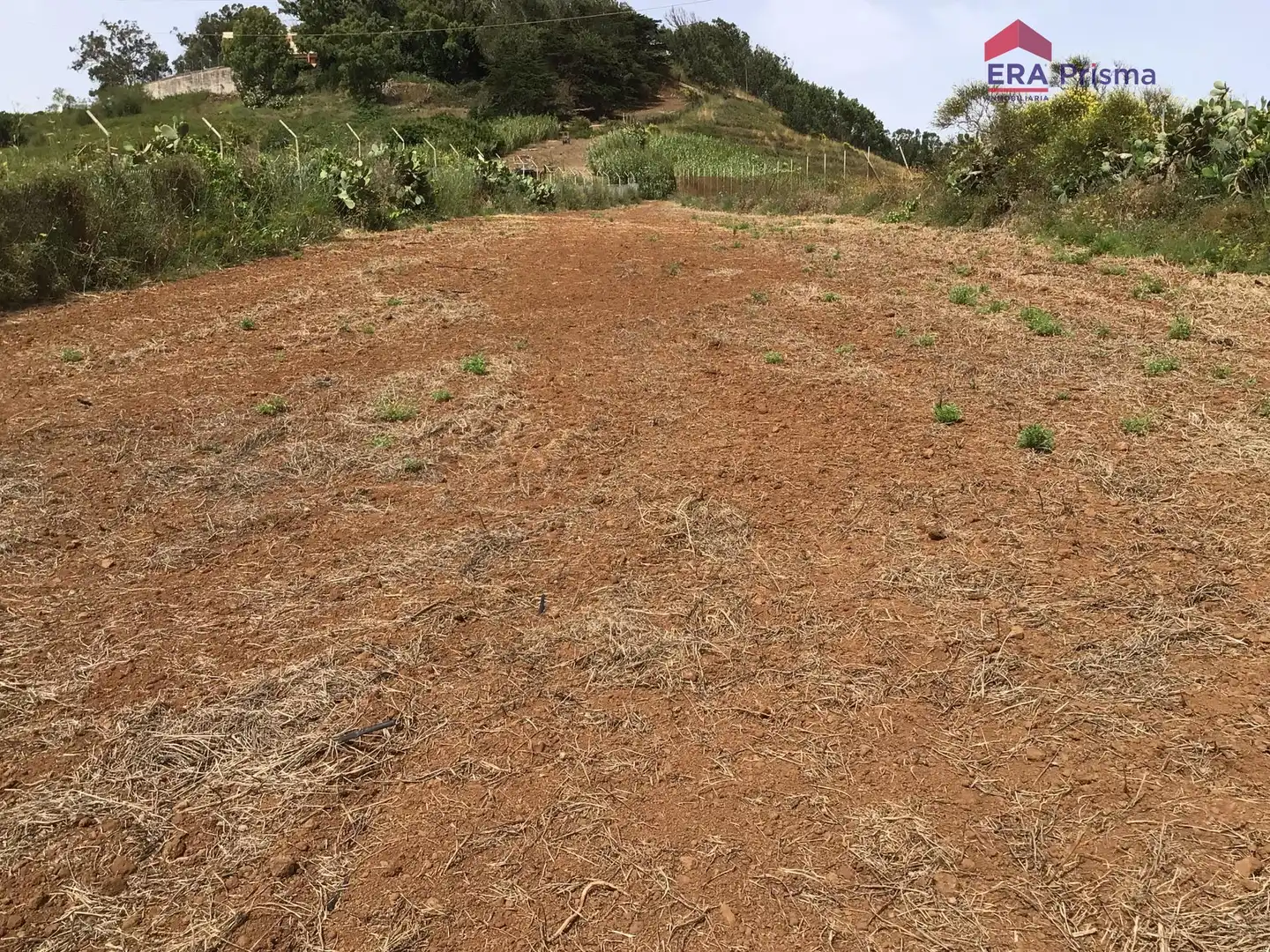 Terreny rústic en venda a Camino DEL MEDIO S/N, imagen 18