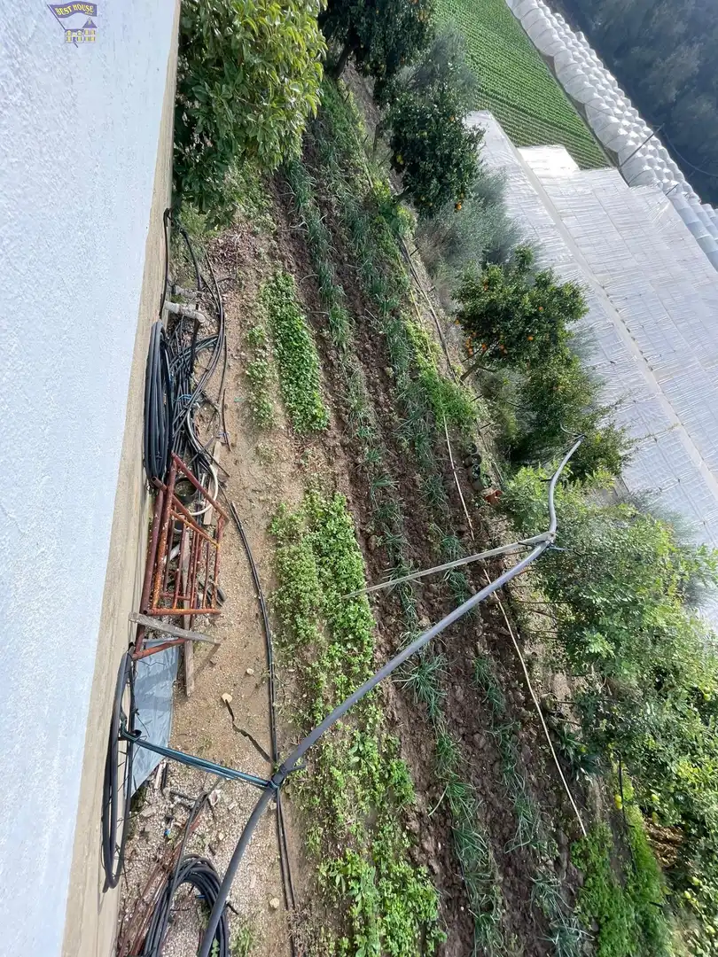 Terreny rústic en venda a Arcos de la Frontera, imagen 20