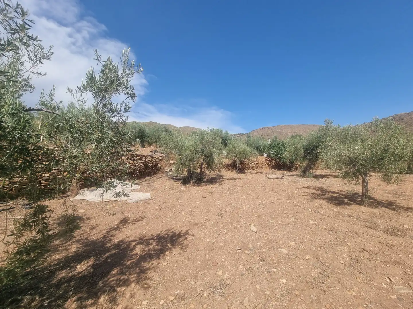 Terreno en venta en Senés