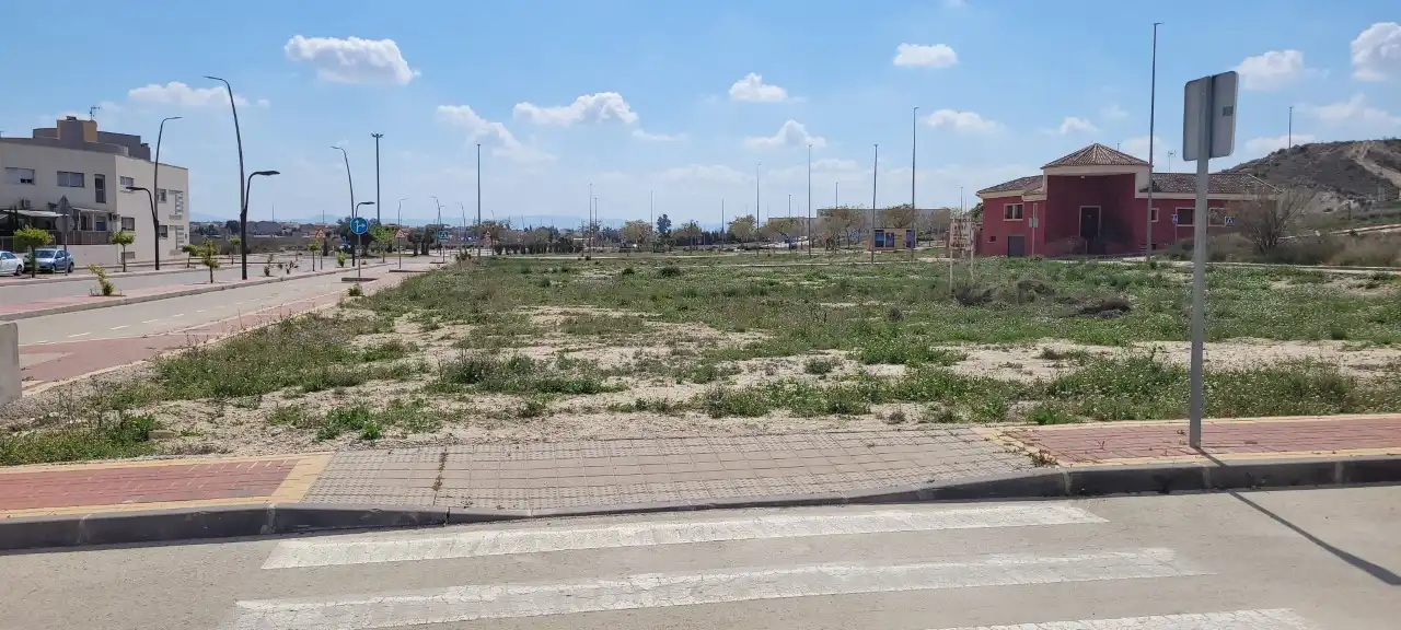 Terreny rústic en venda a Avda. Abogado Ginés Asensio, imagen 4