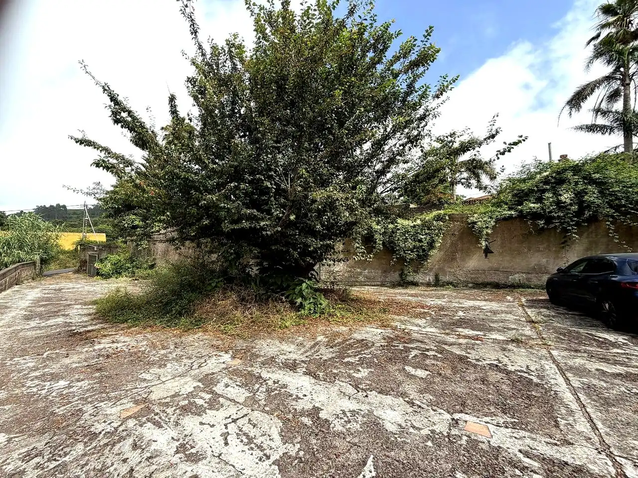 Casa o xalet en venda en Tacoronte amb Jardí privat, Terrassa i Traster