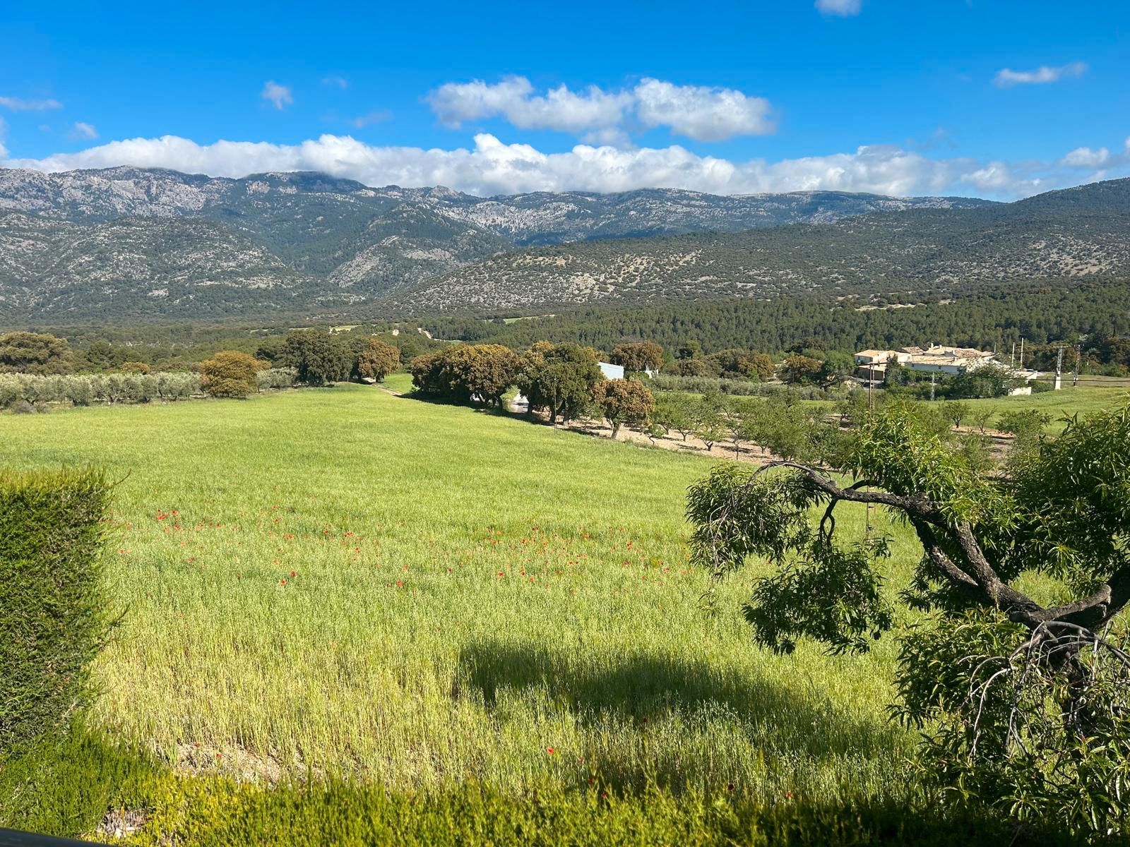 Country house for sale in Pozo Alcón  with Private garden and Furnished