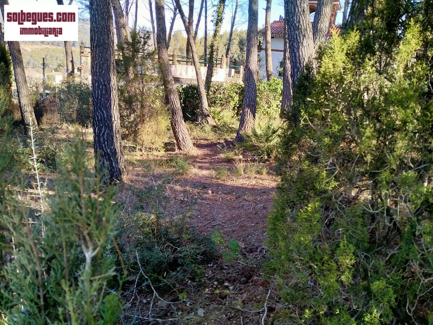 Terrenys i solars en venda a Olesa de Bonesvalls, imagen 4