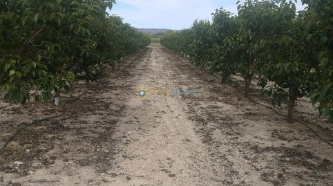 Terreno con casita a la venta en Beniganim, immagine 4