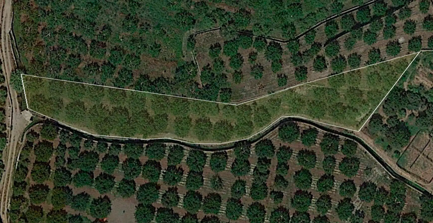 Rural land for sale in Salobreña, imagen 2