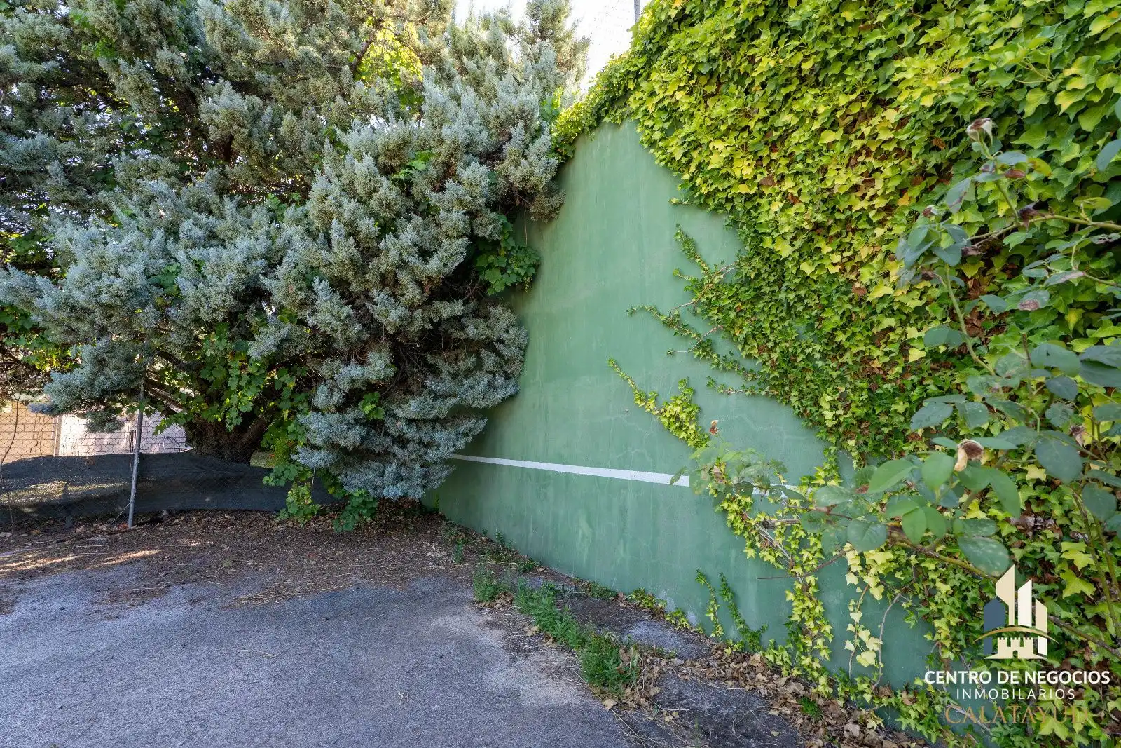 Vista exterior de Casa o xalet en venda en Calatayud amb Aire condicionat, Calefacció i Piscina
