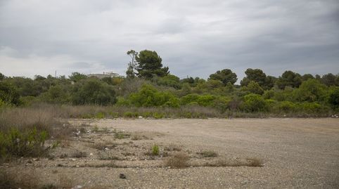 Foto 4 de Terreny en venda a Polígono 7 Parcela 41 la Budellera, 24, Llevant, Tarragona Capital