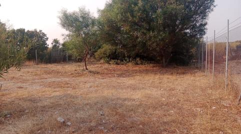 Photo 3 of Residential for sale in Los Caños de Meca, Cádiz