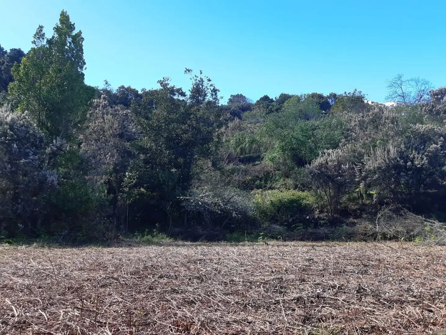 Terreno rústico en venta en La Vega - El Amparo - Cueva del Viento, imagen 2