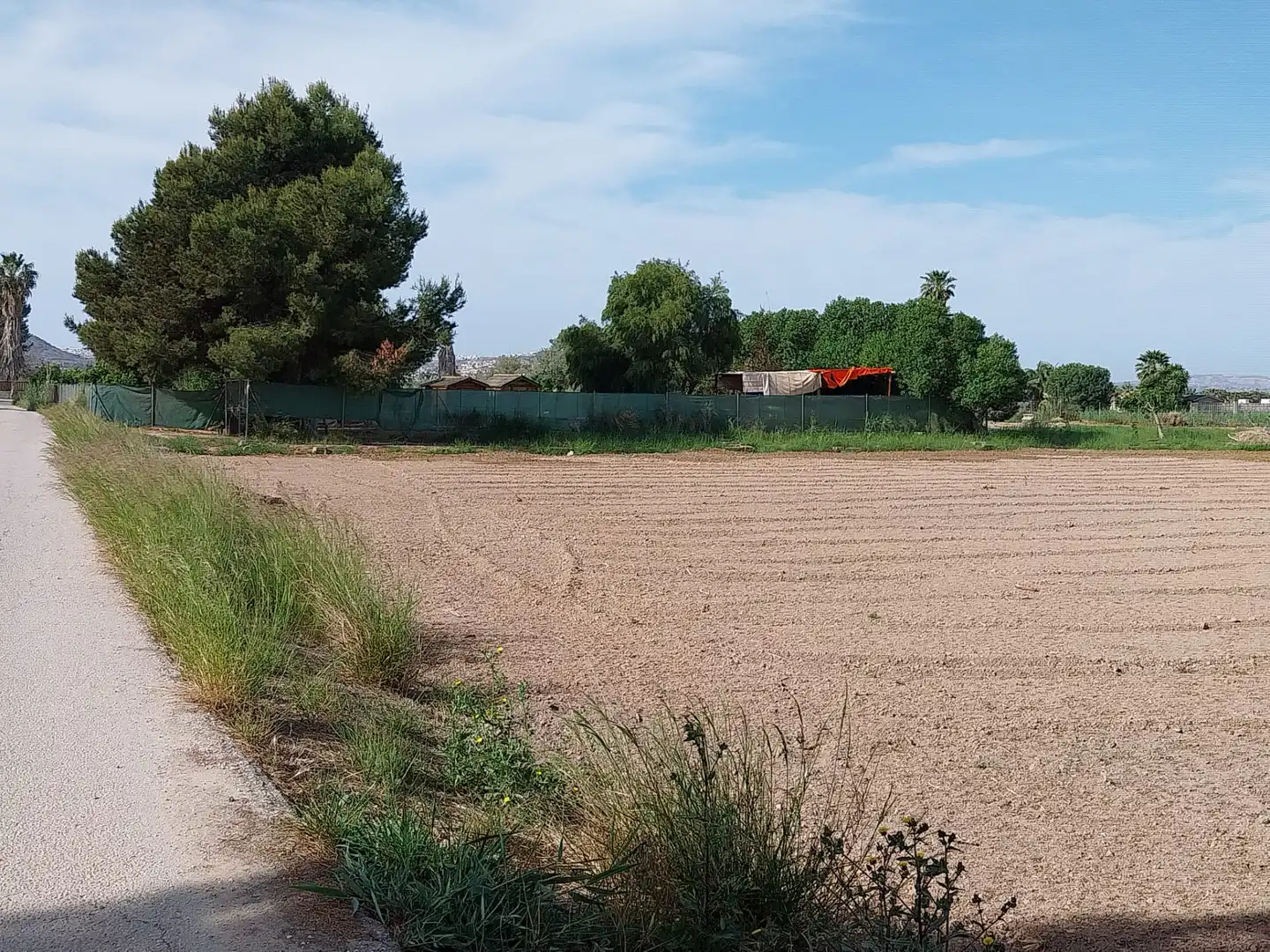 Terreno rustico in vendita a Partida la Capitana