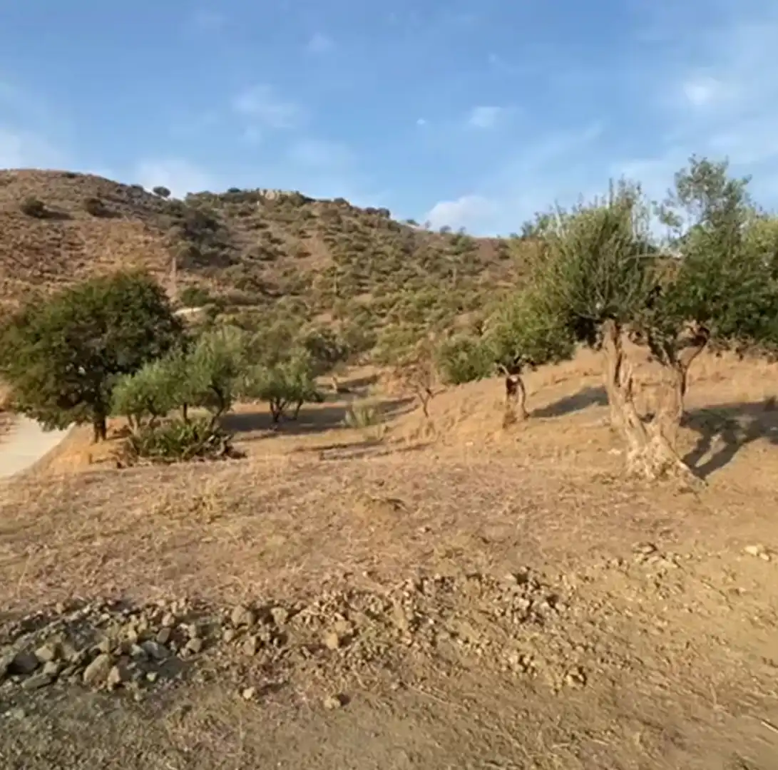 Rustikales Grundstück zum Verkauf in Cártama pueblo, imagen 14