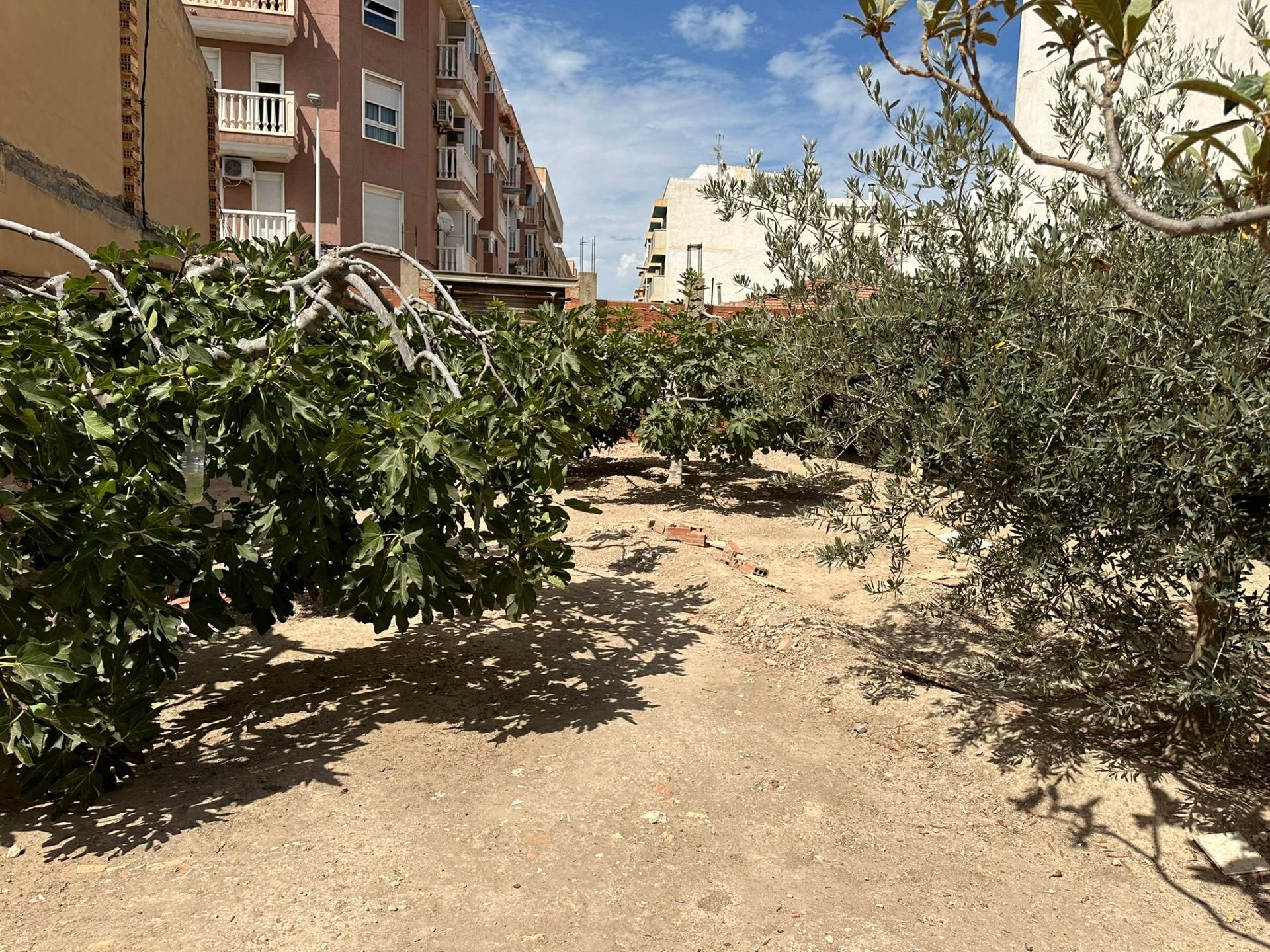 Finca rústica en venta en Elche / Elx con Trastero