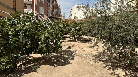 Foto 2 de Finca rústica en venda a Torrellano, Alicante