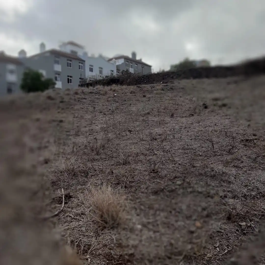Terrain rustique à vendre à La Perdoma - San Antonio - Benijos, imagen 3