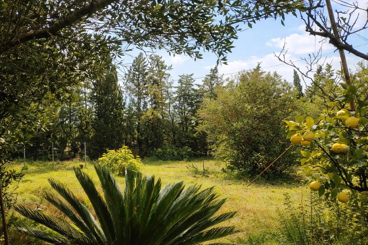 Country homes for sale in Chiclana de la Frontera