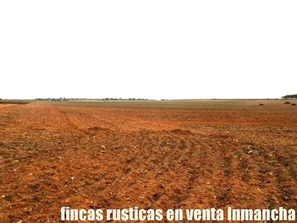 Terreno rustico in vendita a Alcázar de San Juan, imagen 11