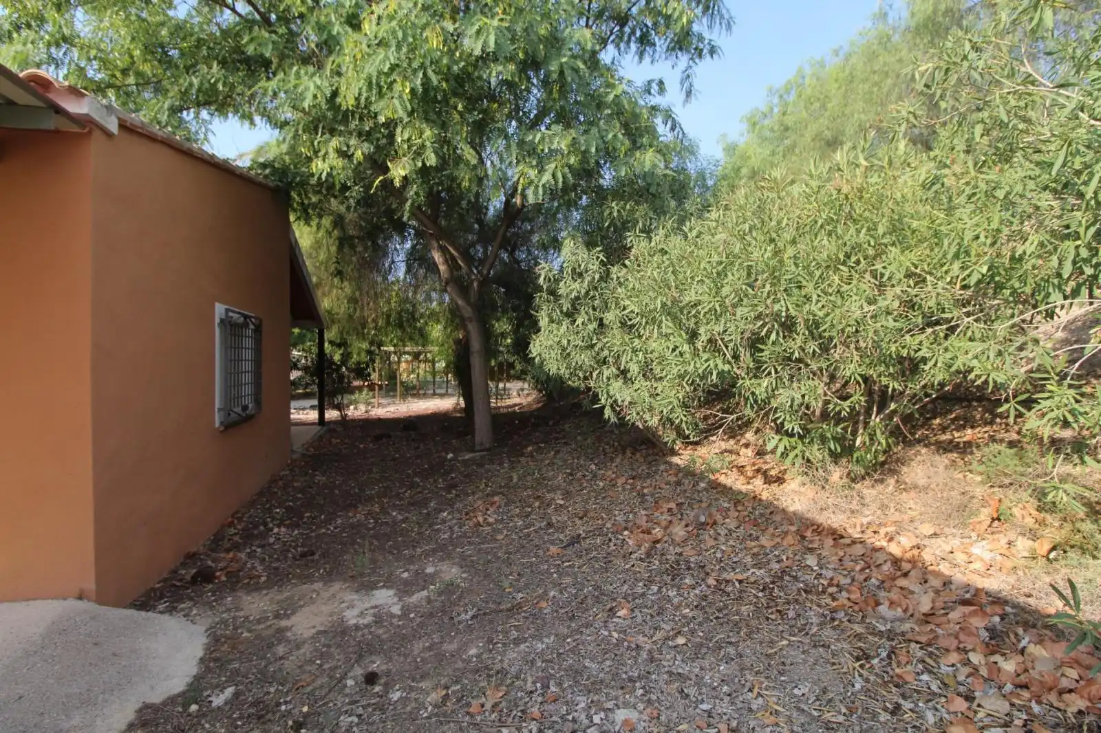 Jardí de Casa o xalet en venda en Mula