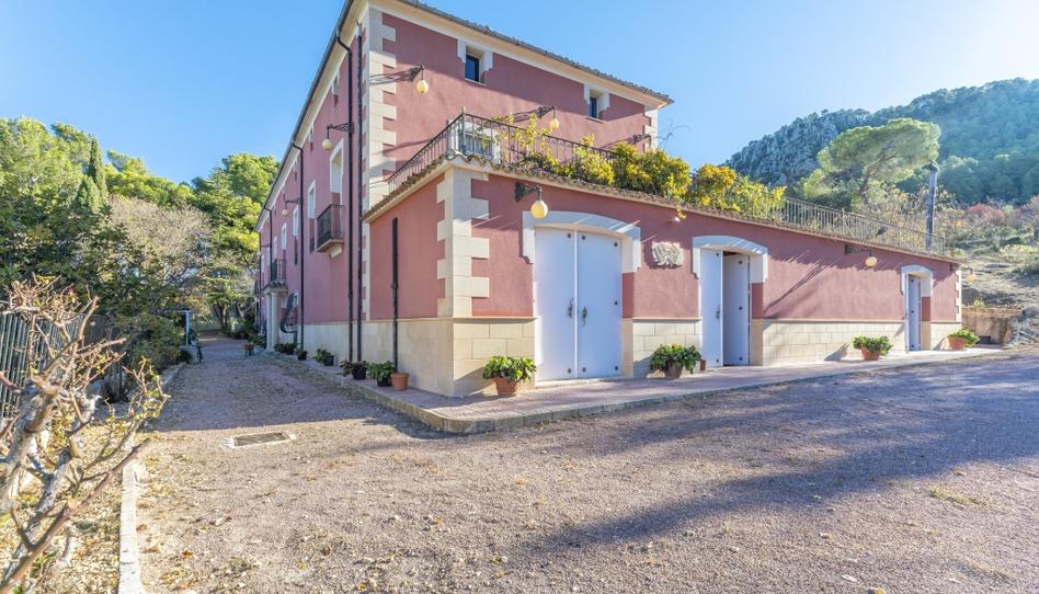 Foto 1 de Finca rústica en venta en Partida Rambla Alta, Centre - Zona Alta, Alicante