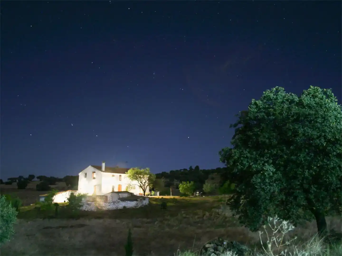 Jardí de Finca rústica en venda en Azuaga