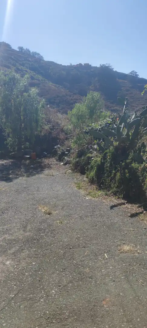 Terreno en venta en Tegueste