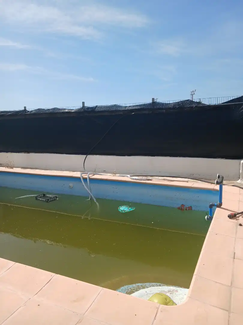 Swimming pool of Detached homes for sale in Dalías  with Air Conditioner, Terrace and Swimming Pool