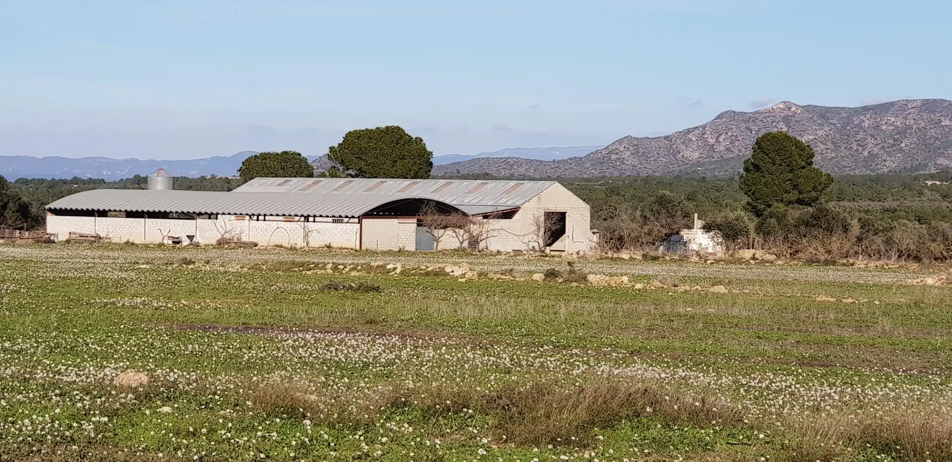 Vista exterior de Finca rústica en venta en El Perelló con Jardín privado, Terraza y Trastero