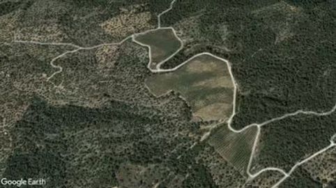 CÍTRICOS ABANDONADOS, ALMACÉN Y CASETA, immagine 3