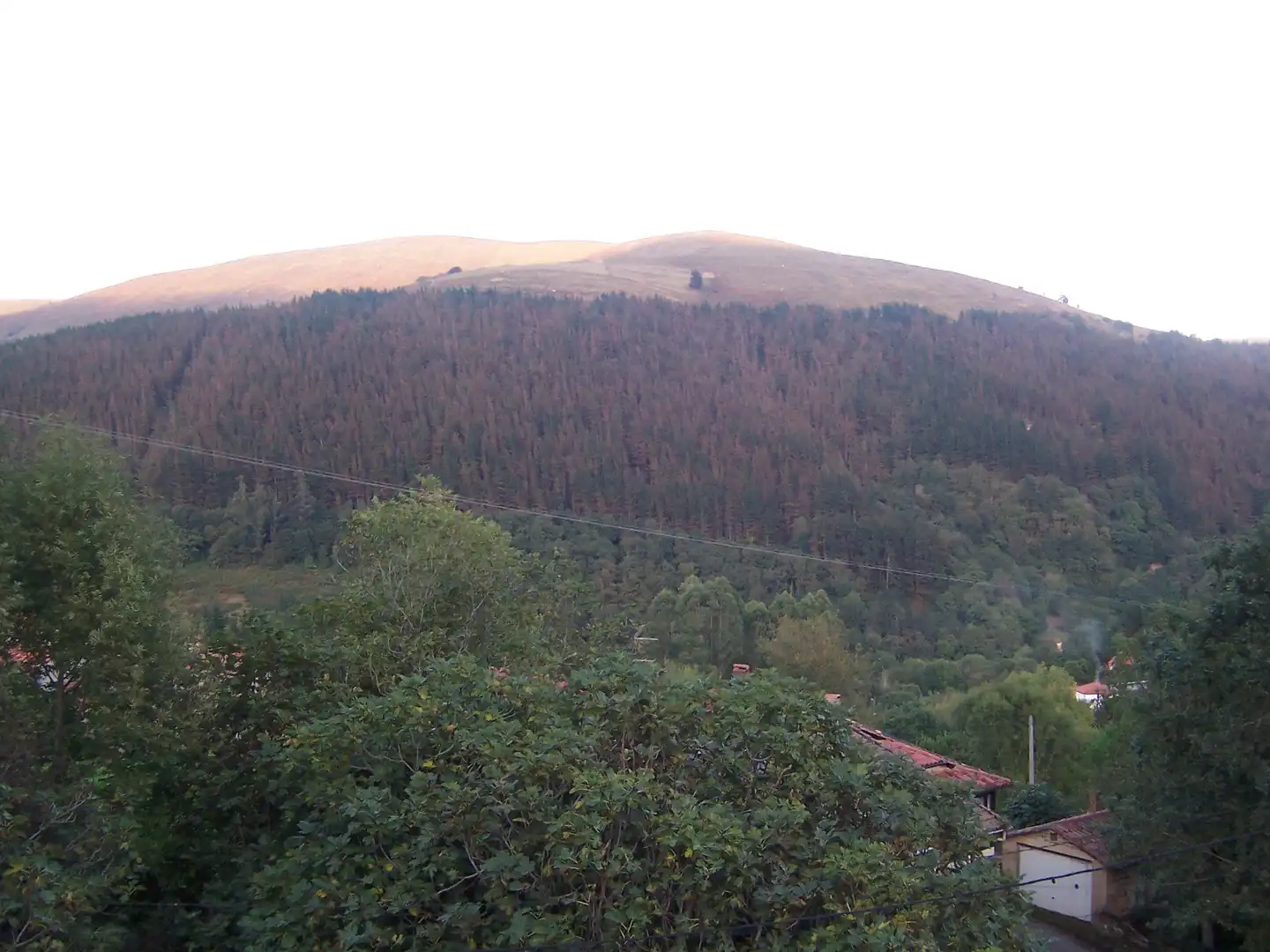 Vista exterior de Casa o xalet en venda en Luena  amb Jardí privat, Terrassa i Moblat