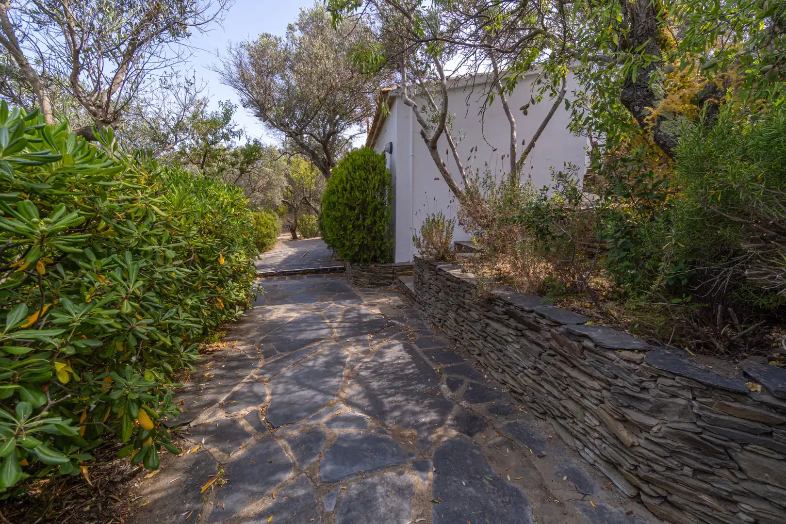 Vista exterior de Casa o chalet en venta en Cadaqués con Calefacción y Jardín privado