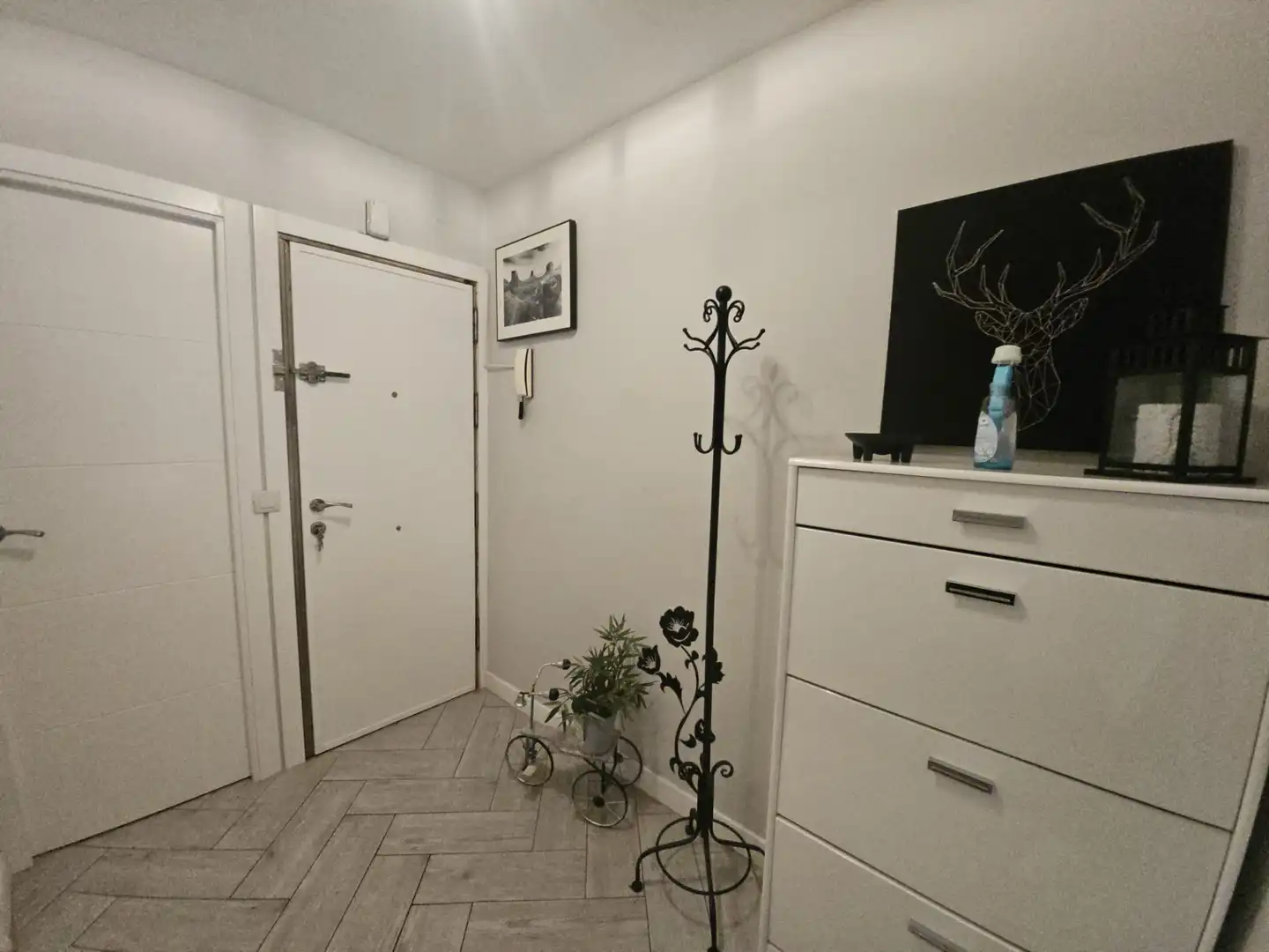 Flat for rent in Norte - Universidad