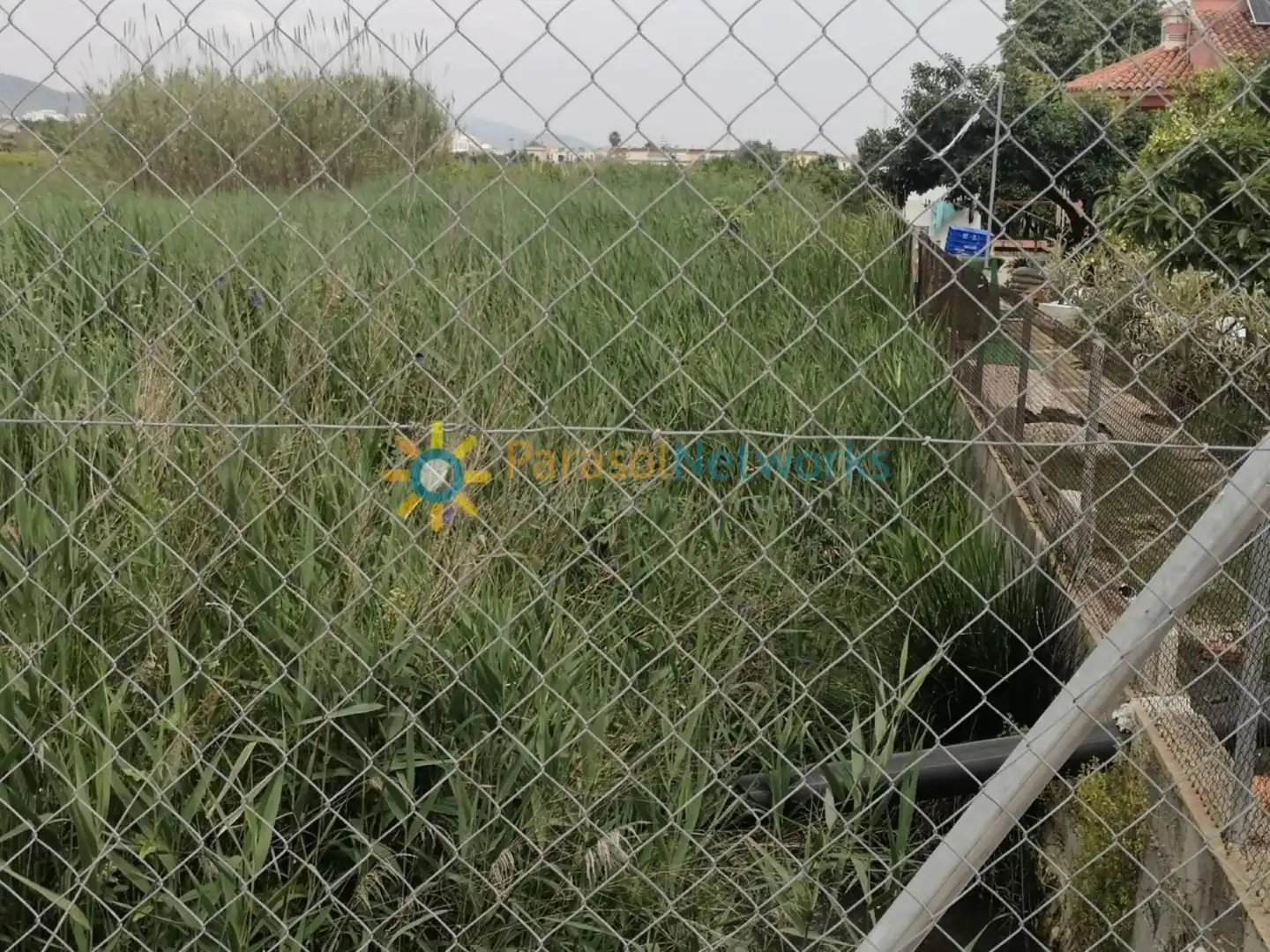Rural land for sale in Guardamar de la Safor, imagen 7