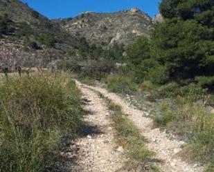 Land for sale in Fuente Álamo de Murcia