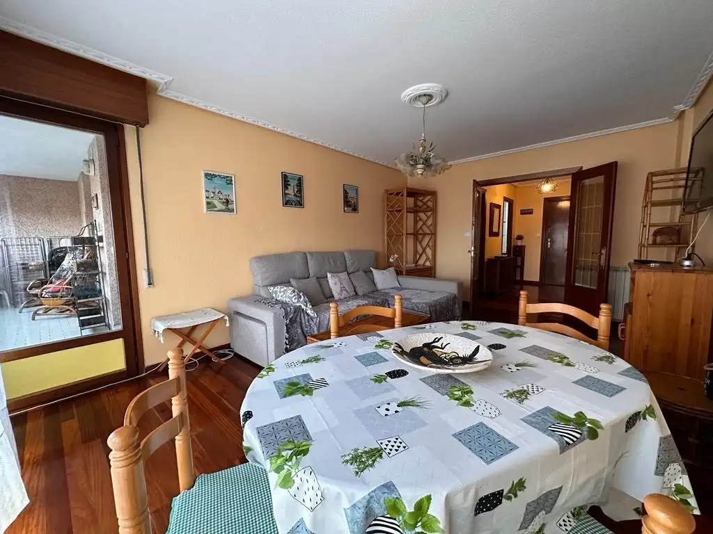 Living room of Flat for rent in Santander  with Heating, Parquet flooring and Furnished