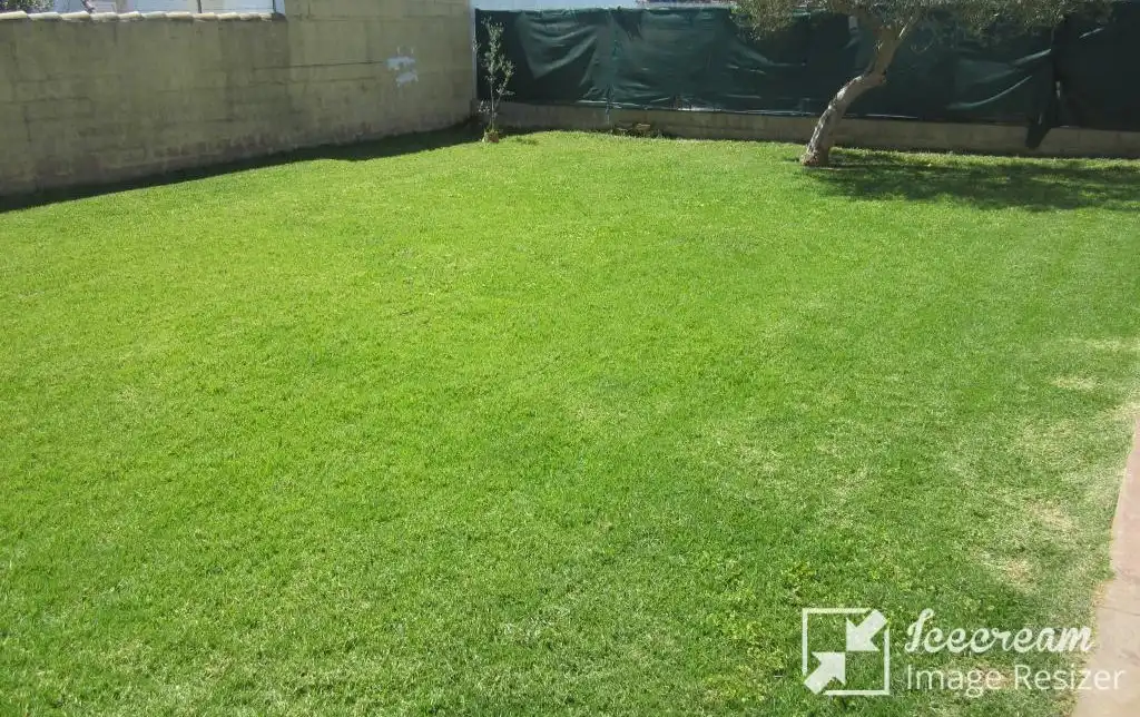 Villa avec jardin à vendre à Calle Lugano, imagen 5