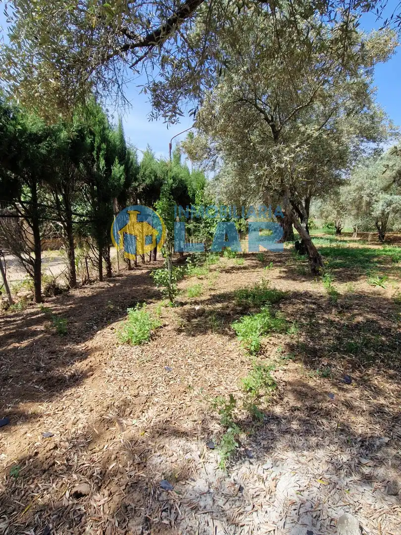 Casa o chalet en venta en Trigueros
