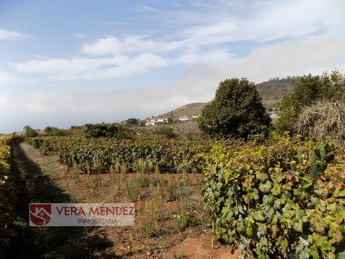 Exterior view of Country homes for sale in Tacoronte