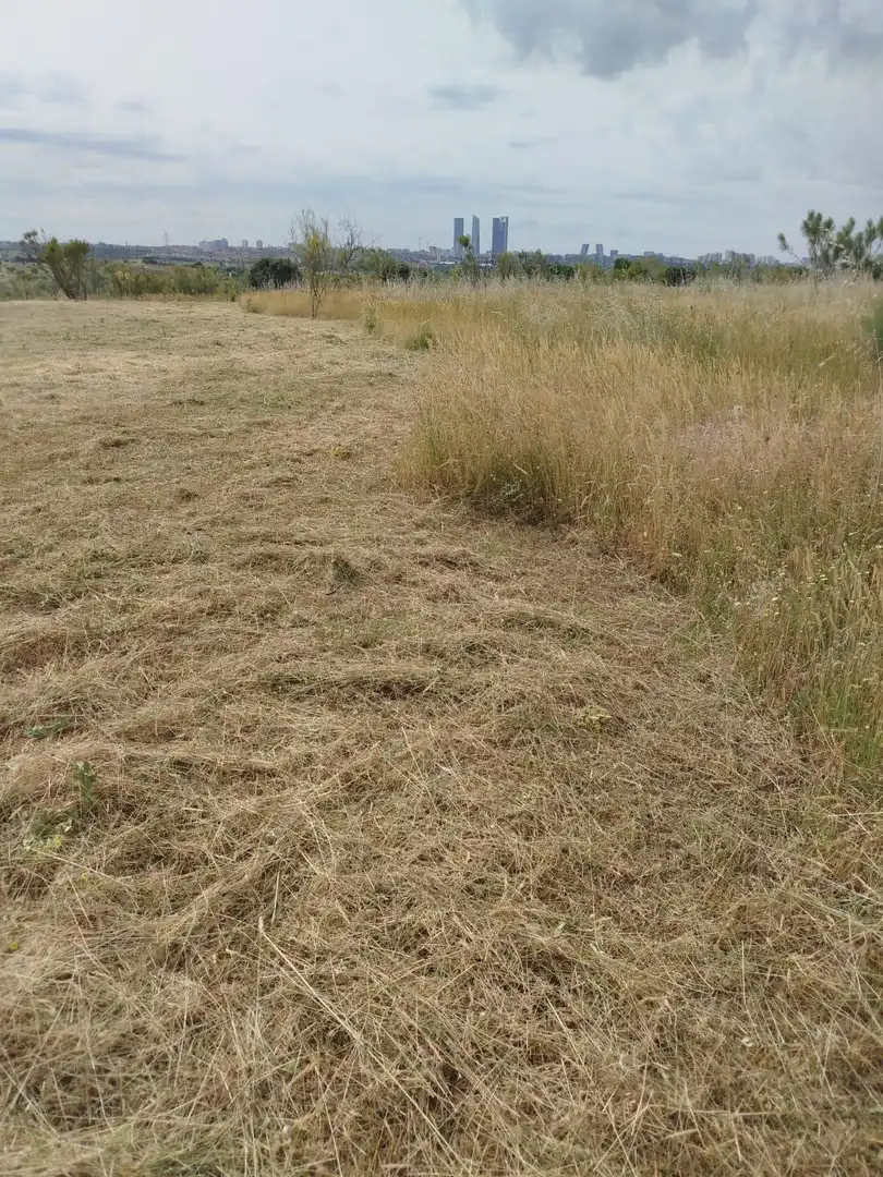 Terreno rústico en venta en Fuencarral - El Pardo, imagen 30