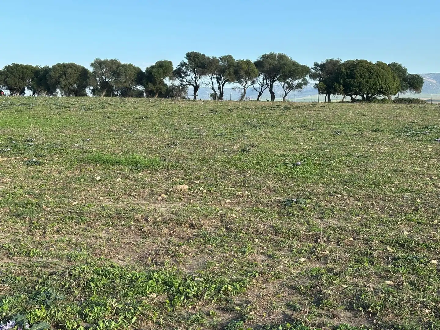 Terreni e lotti in vendita a Vejer, imagen 14