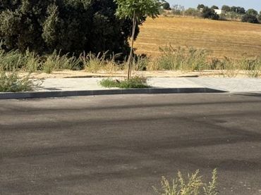 Lands and plots for sale in Fuente Montes 1