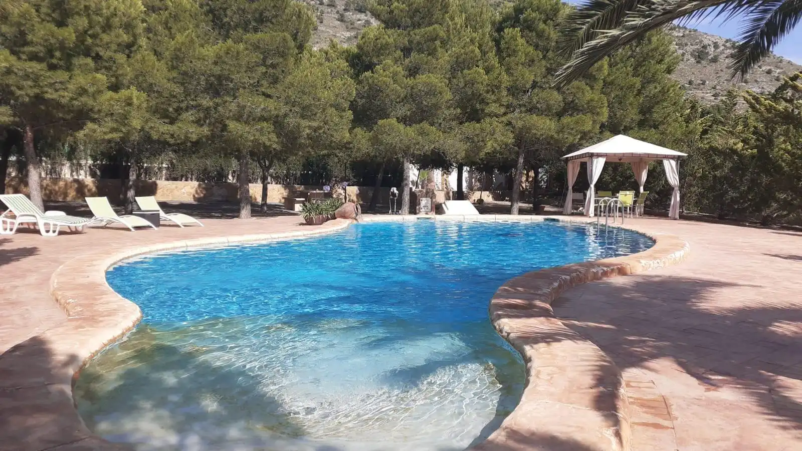 Detached house with pool for sale in Petrer