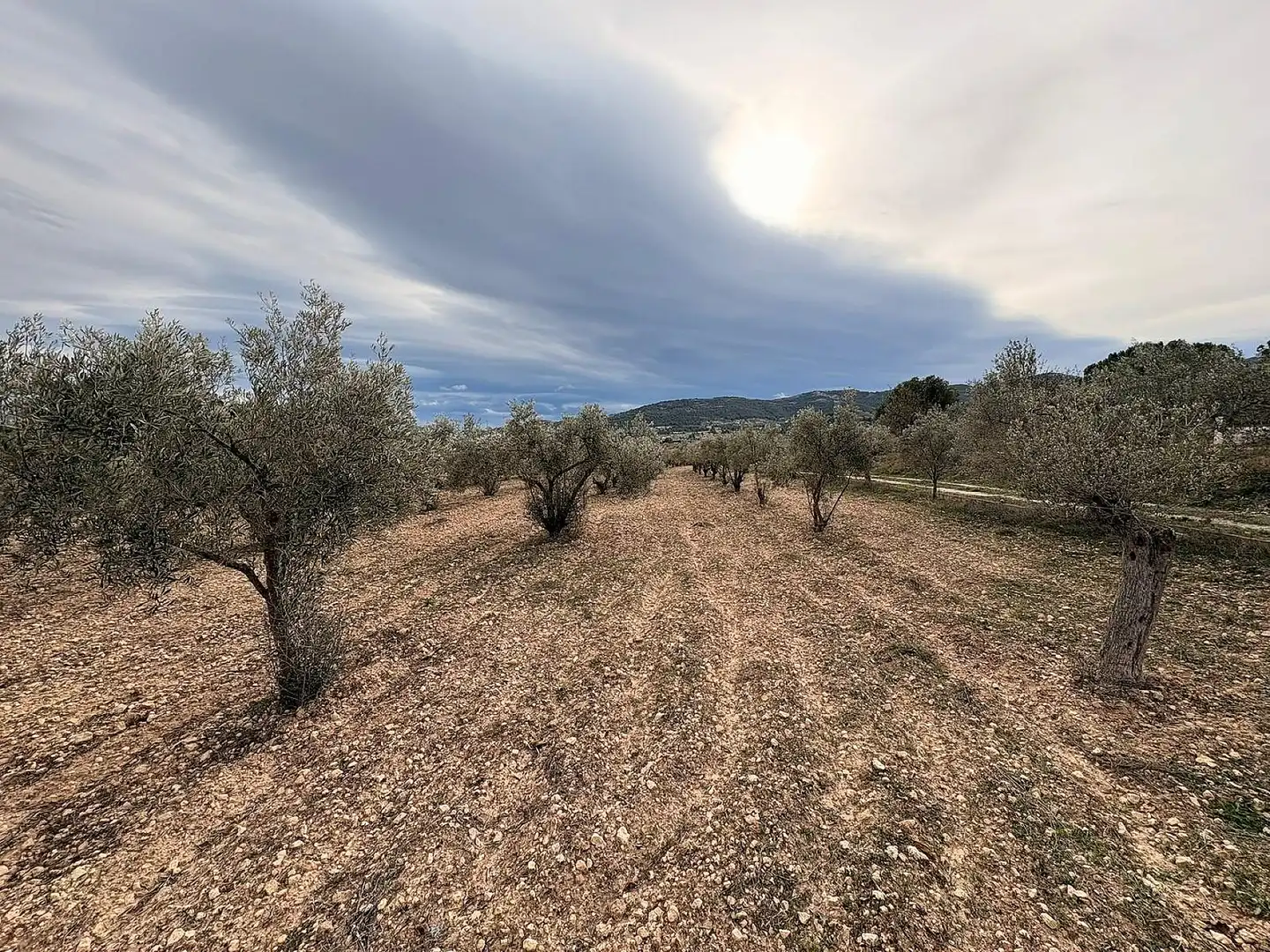 Terrain résidentiel à vendre à Onil, imagen 2