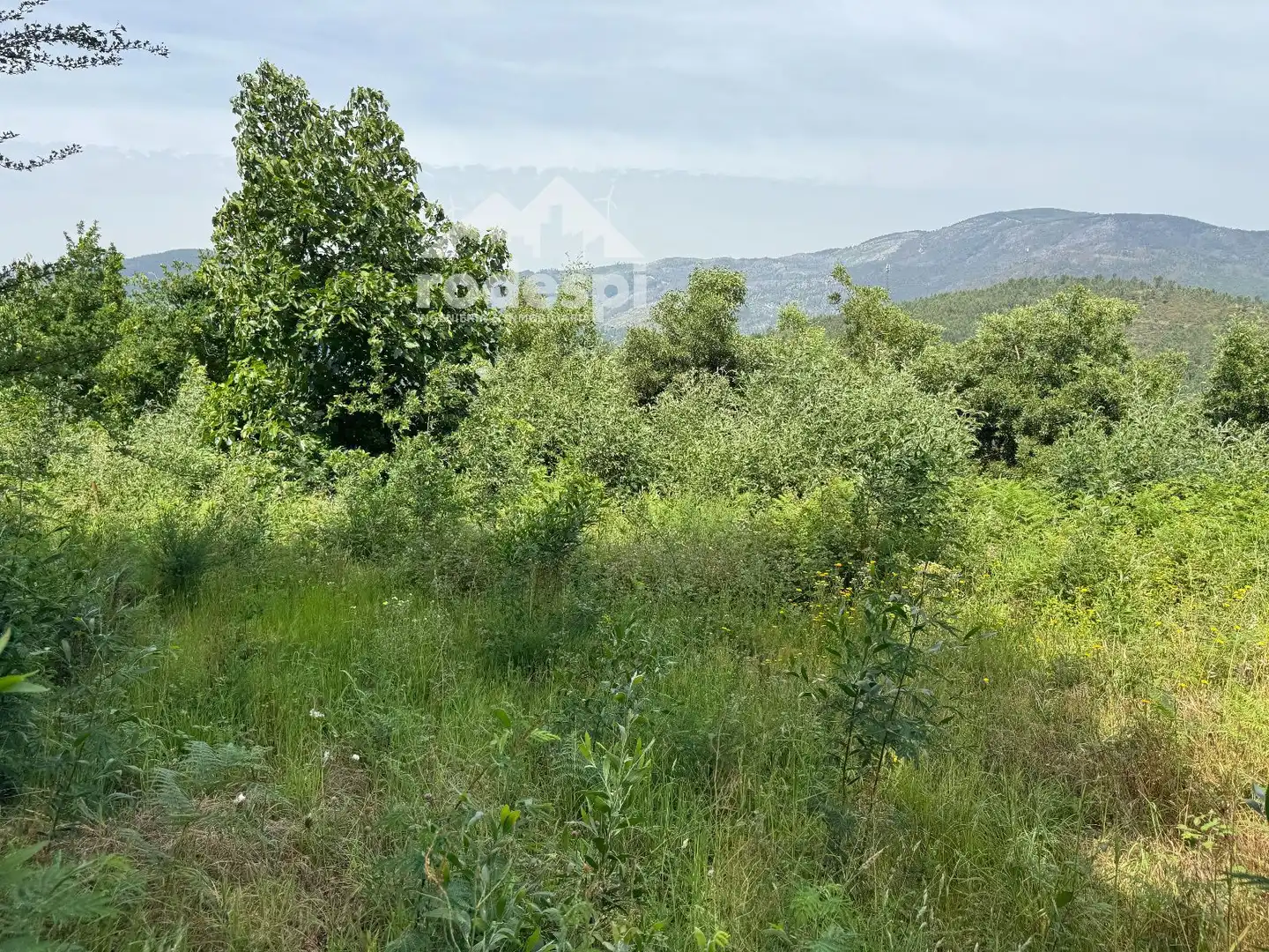 Casa o chalet en venta en Cortegada con Calefacción, Terraza y Trastero