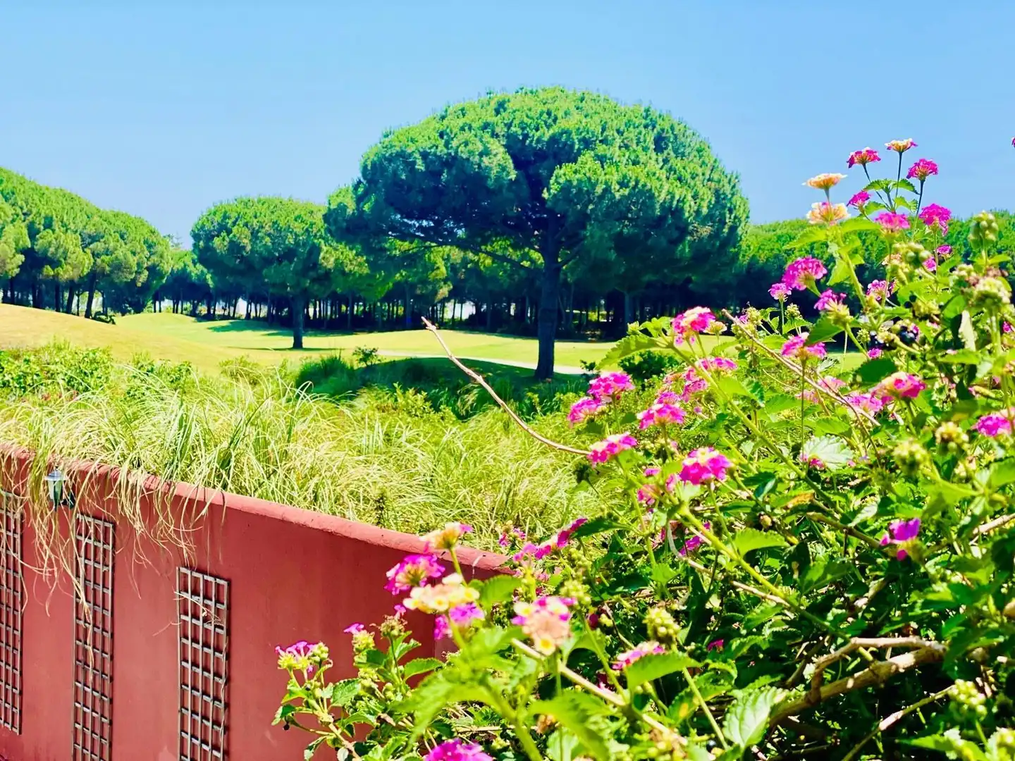 Villa con piscina in vendita a Novo Sancti Petri, imagen 55